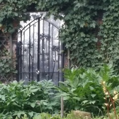 Lord Your Joy is My Strength