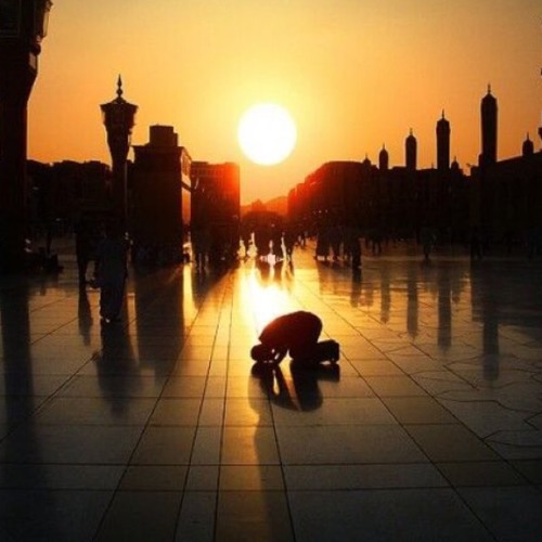 تلاوة لسورة الذاريات | للشيخ أحمد بن طالب بن حميد | فجر الأربعاء ٢٥-١٠-١٤٣٨هـ