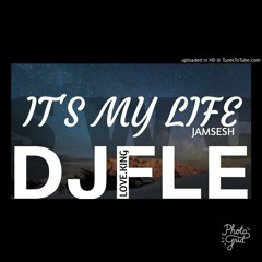 DJ FLE - Love.King - Its My Life