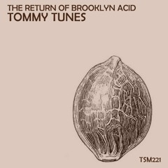 ACID-TECHNICIAN (Original Mix) Tommy Tunes