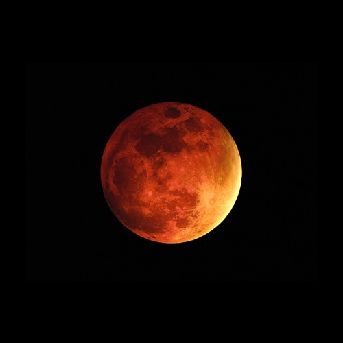 Finally Home | @LouisPierreProd