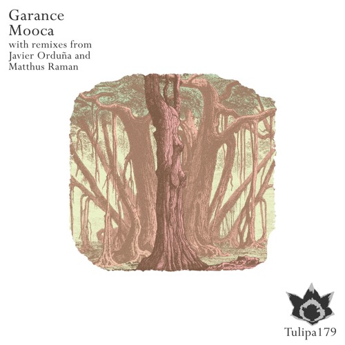 [Premiere] Garance - "Mooca"