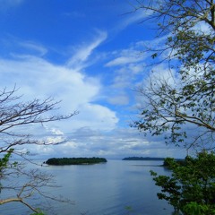 Oxygen- Colbie Callait (cover Kk)