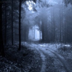 Went Missing (Nils Frahm)