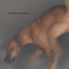 Premiere : Terence Fixmer - Force