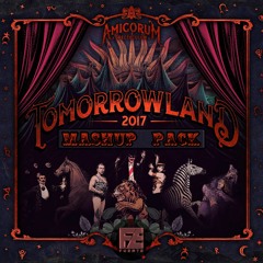 Fuerte - Tomorrowland Mashup Pack 2017