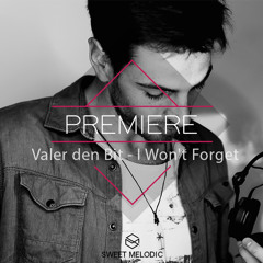 PREMIERE : Valer den Bit - I Won't Forget (Original Mix) [Timeless Moment]