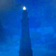 the snake that flies slowly