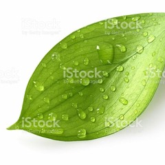 Lime - Babe Were Gonna Love Tonight - Midi