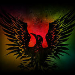 Blackbird full acoustic instrumental (alter bridge)