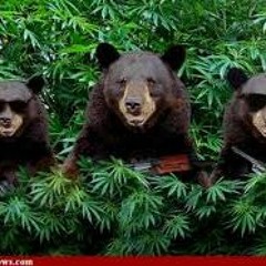 5 on 7- Yung Lactose x Yung Addy x WristBanx