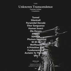 IGNOTA - Aztec Violence (Original Mix) [MEPHYST]