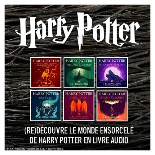 Stream Test Livres Audio Harry Potter 1ère partie -1/2 by ecransdeclaire |  Listen online for free on SoundCloud