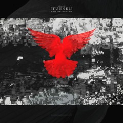Tunnel - When Peace Decends (Axkan Remix)