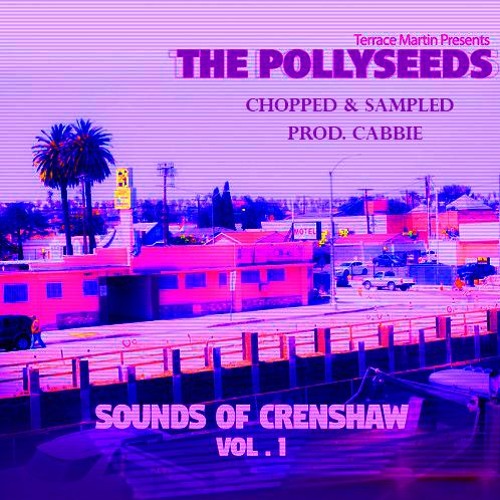 terrace martin presents the pollyseeds