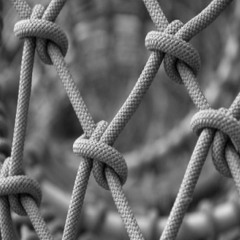 knots