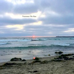 Transmute The Hate (feat. Steev Hoefchen)