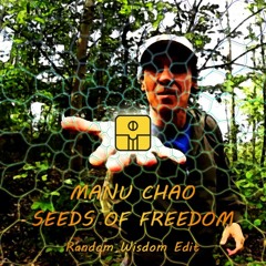 Manu Chao - Seeds of freedom - RW Rework