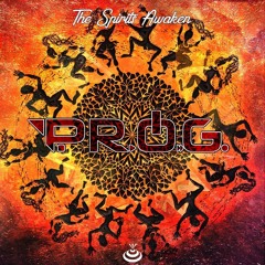 P.R.O.G. - Redskin (Original Mix) | MuzicBoom Records |