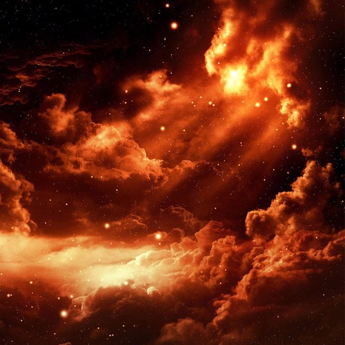 oliver francis - bloom