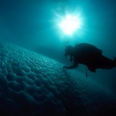 Pati said I worry too much