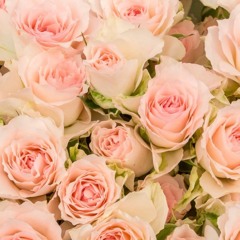 番組ナレーション01：五十嵐香織