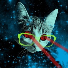 Thank You God For Cats