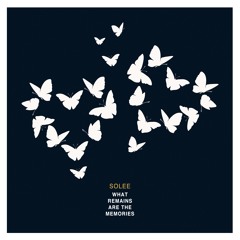 Solee - History (Club Edit) / Parquet Recordings
