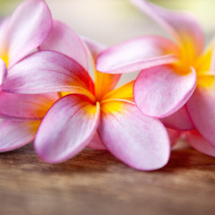 Remembering Kindness, Lyndi (11 min)