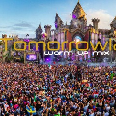 Festival Party Mix | Tomorrowland Warm up