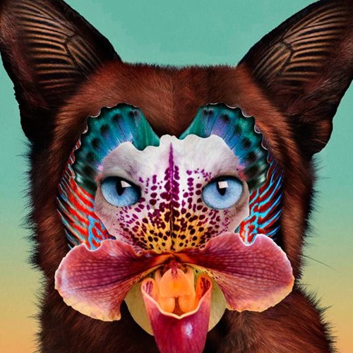 Galantis - No Money (JAMES REMIX) TRAP