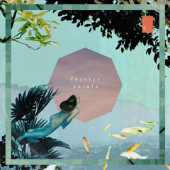 PREMIERE : fujitsu - reefs [Chillhop Records]