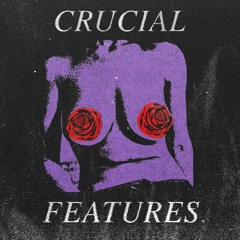 Crucial Features