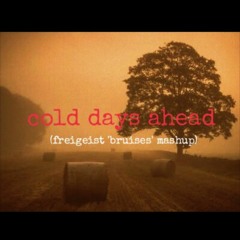 Cold Days Ahead (Freigeist 'Bruises' Mashup)