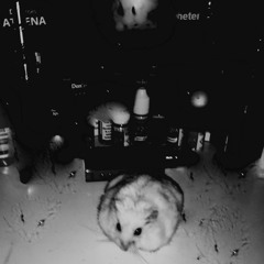 40 Watt Sub Ohm Hamster