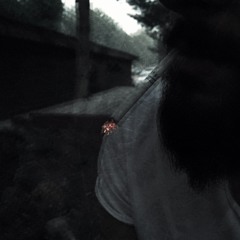 Halvetimeşk - YİTİK (2017)