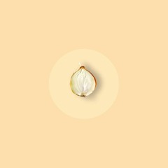 Yellow Onion.wav