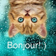GrOmiNeT Corp - Bonjour !