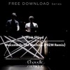 Exclusive Free Dl Pink Floyd Welcome To The Machine Przm Remix Mp3