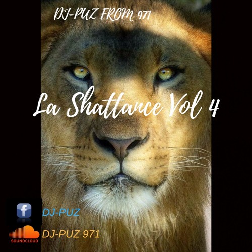 DJ PUZ LA SHATTANCE VOL 4