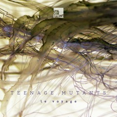 Teenage Mutants - Couer [Snippet]