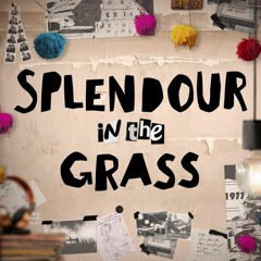 Splendour in the Grass 2017 Promo - Quick mix