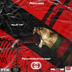 Alley Cat - PeeGunna