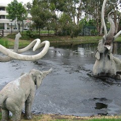 La Brea - Alex Isley (Instrumental Cover)