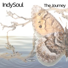 NYLRCD03 : IndySoul - Feeling Love (Sensual Mix)