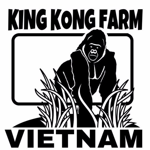 ĐƯỜNG TỚI KING KONG FARM - PÈO MELODY