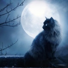 full meoown