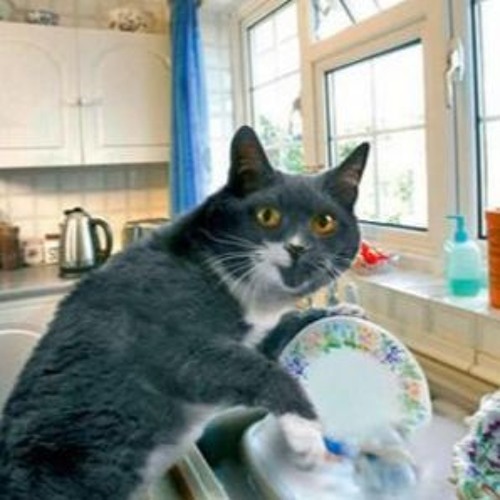 chill cat vol 2: virgo