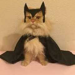 chill cat leo: vol 2