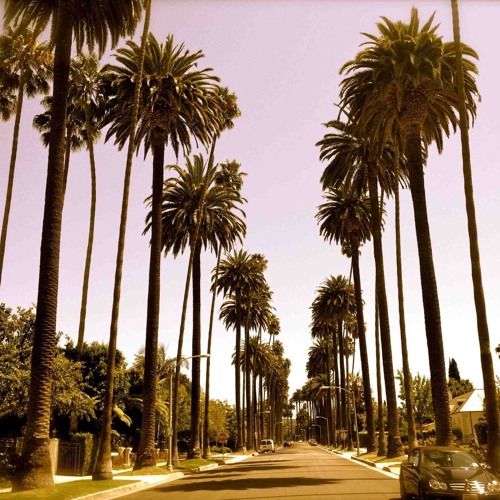 Fitz's CaliBoy Playlist